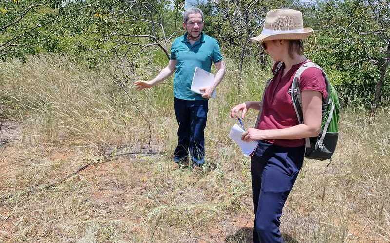 Tag zwei mit IRPAA in Juazeiro.