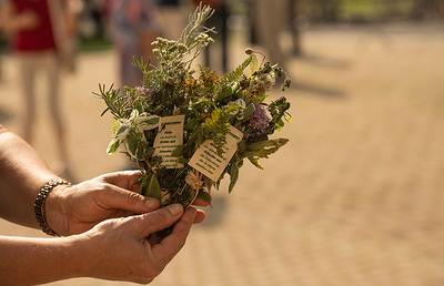 Die Segnung der Kräuterbuschen ist in vielen Pfarren Tradition.