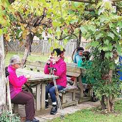 Kleine Stärkung zwischendurch