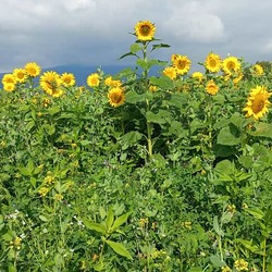 Herbstimpressionen von unterwegs