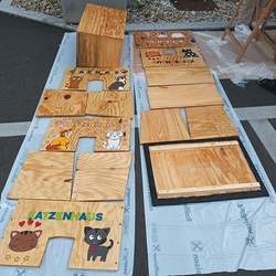 Projekt New home for special cats