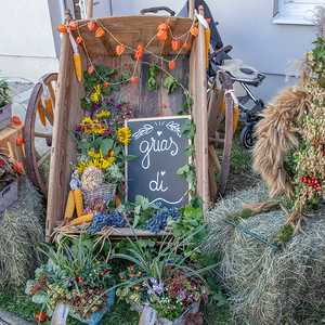 Ein wunderschönes Erntedankfest- 50 Jahre Pfarrkindergarten