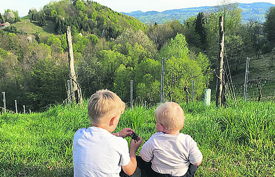 Der Familienwanderweg „Alles Familie! Beziehungen auf der Spur“ in Zeutschach begeistert Klein und Groß.