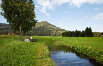 Spiel, Spaß und gute Laune beim gemeinsamen Wandern in Zeutschach