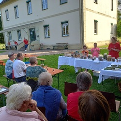 Vortrag Kräuterkunde