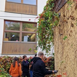 Projekt Abenteuerspielplatz