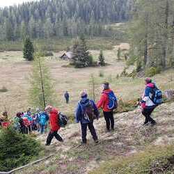 10 Pfarren machen eine Wallfahrt nach Mariapfarr im Lungau.