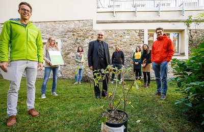 Gemeinsam mit Bischof Wilhelm Krautwaschl pflanzten Vertreter/innen der Katholischen Jungschar Steiermark ein Feigenbäumchen, das zu einem starken „Kinderrechtebaum“ heranwachsen wird.