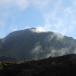 14. - 16. September 2015