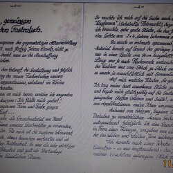 Künstlerin Helga Petz aus Dollrath                         