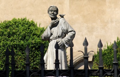 Weil Franz von Assisi in vielen seiner Erzählungen und Predigten die Gleichheit von Mensch und Tier erwähnte, gilt er als einer der ersten Tierschützer in der Geschichte. 