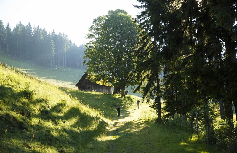 Das Pilgern lädt dazu ein, wunderschöne Orte zu entdecken.