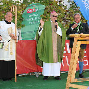 Steirische Roas Ligist