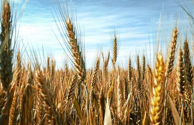 Landwirt:innen stehen weltweit vor immer größeren Herausforderungen - dieser nimmt sich das Welthaus Graz in einer Initiative an.