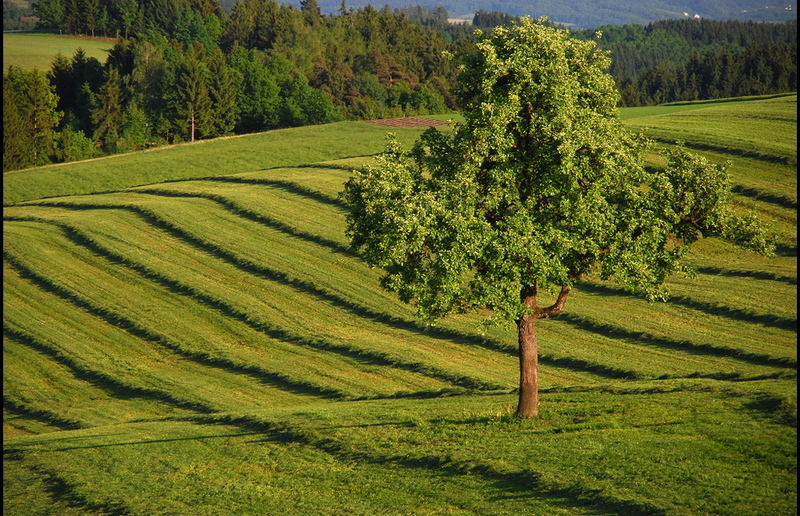 Bernhard Falkinger Eine Orientierung an einem umfassend verstandenen Gemeinwohl sei in jeder Hinsicht ein Gebot der Stunde, so die kirchlichen Umweltbeauftragten Österreichs.