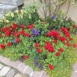 14. - 16. September 2015