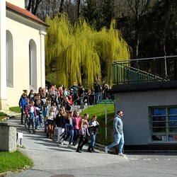 Zurück nach Dobl über Wald- und Feldwege