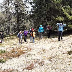10 Pfarren machen eine Wallfahrt nach Mariapfarr im Lungau.
