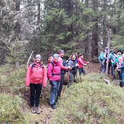 10 Pfarren machen eine Wallfahrt nach Mariapfarr im Lungau.