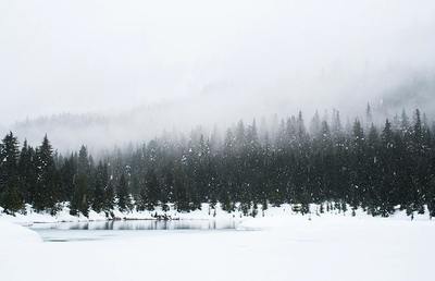 Leise rieselt der Schnee, still und starr ruht der See ...