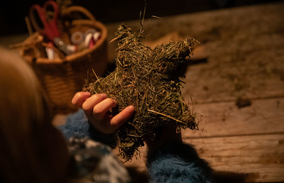 Basteln mit Naturmaterialien macht Spaß und ist umweltschonend - und schön!