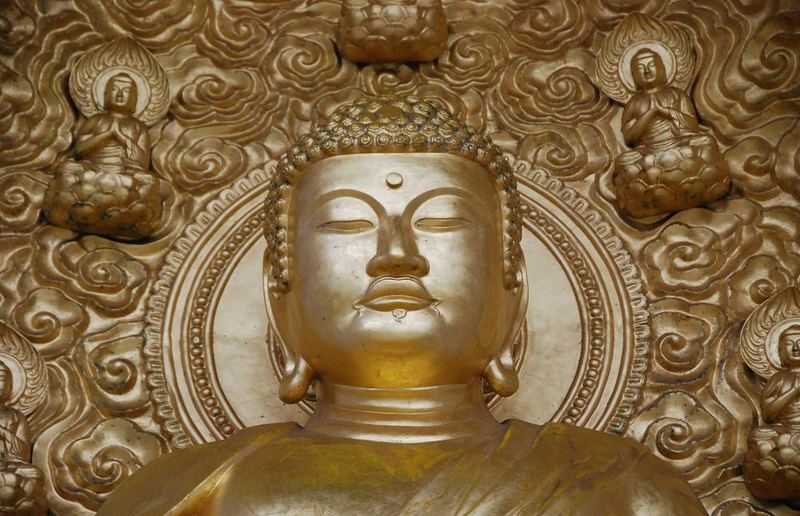 Photo by dorota dylka on Unsplash