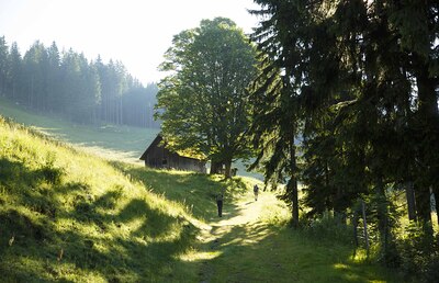 Das Pilgern lädt dazu ein, wunderschöne Orte zu entdecken.