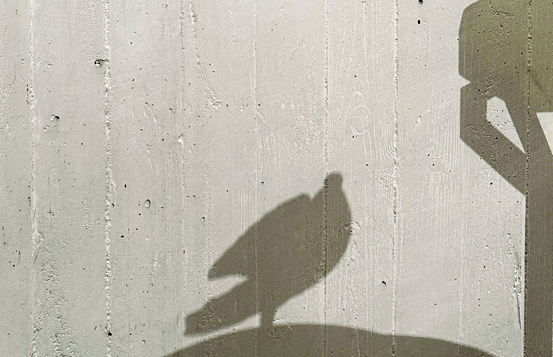 Diözesanmuseum Graz Die neue Ausstellung versucht aufzuzeigen was notwendig ist, um gemeinsamen Frieden zu erreichen.