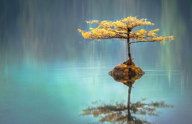 Faye Cornish, Unsplash