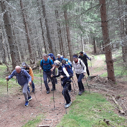 10 Pfarren machen eine Wallfahrt nach Mariapfarr im Lungau.