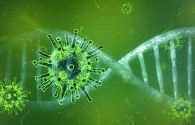 Das Coronavirus hält die Welt in Atem
