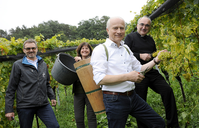 Bei der Weinlese: Reinhold Holler (Direktor Fachschule Silberberg), Andrea Kager-Schwar (Direktorin Schloss Seggau), Landesrat Hans Seitinger und Bischof Wilhelm Krautwaschl.