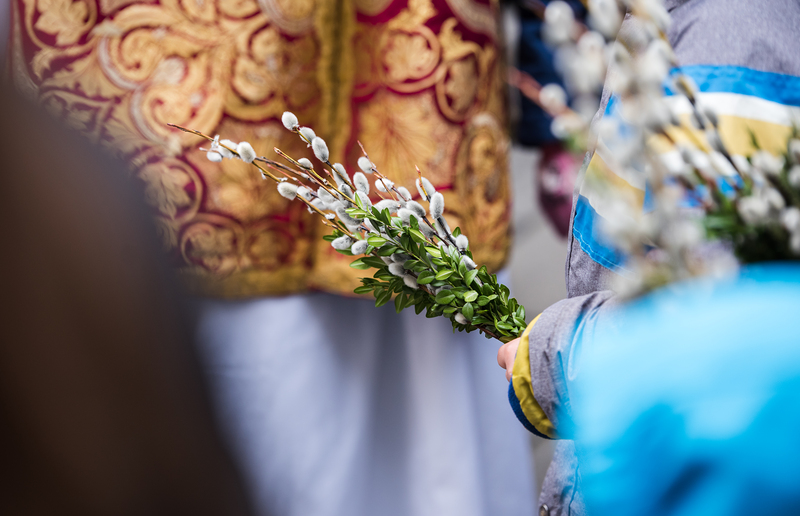 Palmzweige / Tobias Bosina Am Palmsonntag werden Palmzweige gesegnet.