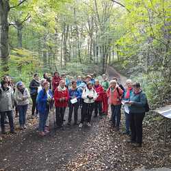 Spiritueller Impuls durch Beatix Wolf