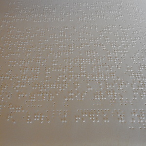           Bibel im Braille-(Blinden)schrift
