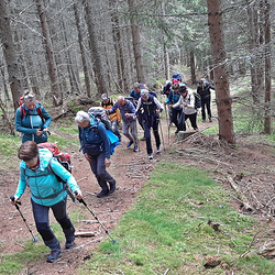 10 Pfarren machen eine Wallfahrt nach Mariapfarr im Lungau.