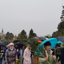 Pfarre Graz-St. Peter