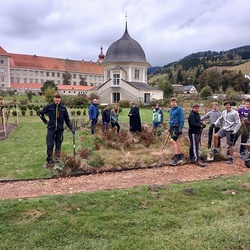 Projekt Wurzeln schlagen im Stiftsgarten domenico