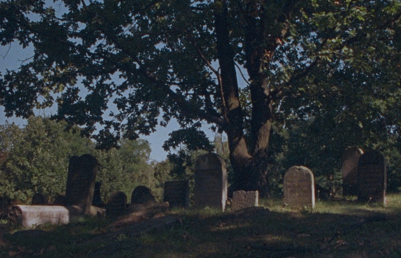 Johannes Gierlinger In 'Remapping the origins' begibt sich Regisseur Johannes Gierlinger auf eine Spurensuche nach dem Umgang mit Geschichte und Erinnerung.