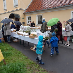 Pfarre Graz-St. Peter