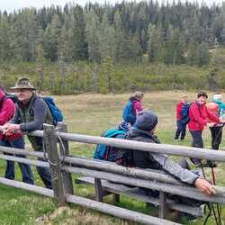 10 Pfarren machen eine Wallfahrt nach Mariapfarr im Lungau.