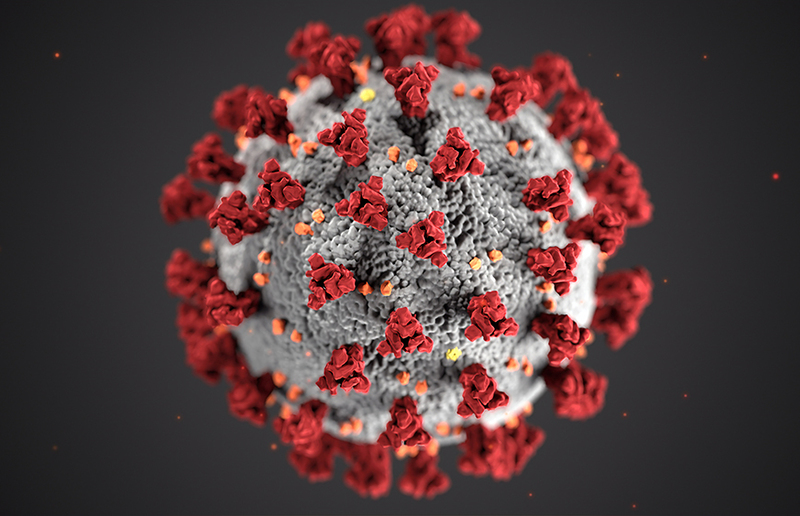 Das Coronavirus hat - direkt und indirekt - mittlerweile alle Bereich des öffentlichen Lebens erfasst.