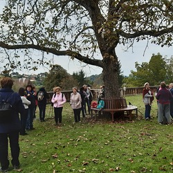 Stärkung auf der Glockenwiese in Seggauberg