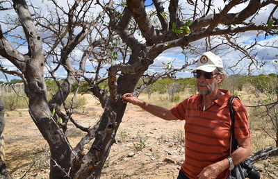 Schisteks Ziel: Landwirtschaft fördern, die an das trockene Klima im Nordosten Brasiliens angepasst ist.