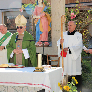 Steirische Roas Ligist