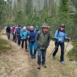 10 Pfarren machen eine Wallfahrt nach Mariapfarr im Lungau.