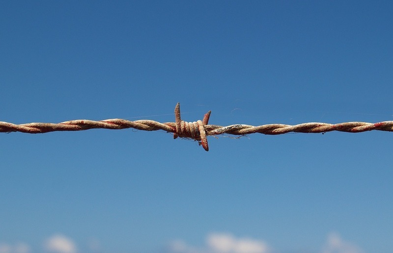 Am 20. Juni ist Weltflüchtlingstag - es ist der Tag, der daran erinnert, dass Millionen von Menschen gezwungen sind, ihre Heimat zu verlassen.