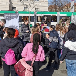 Aschenkreuz am Bauernmarkt Kaiser-Josef-Platz