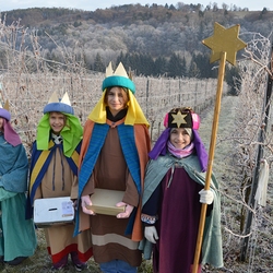 Dreikönigsaktion Pfarre Heiligenkreuz am Waasen