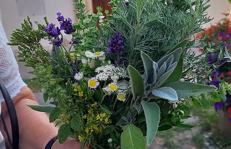 Einbetsonntag mit Kräutersegnung / Pfarramt Gamlitz